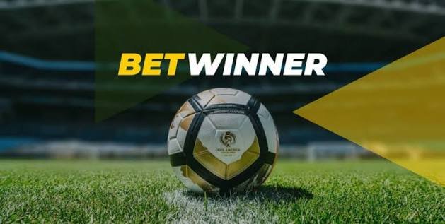 Comprehensive Guide to BetWinner Deposit Methods 930412630
